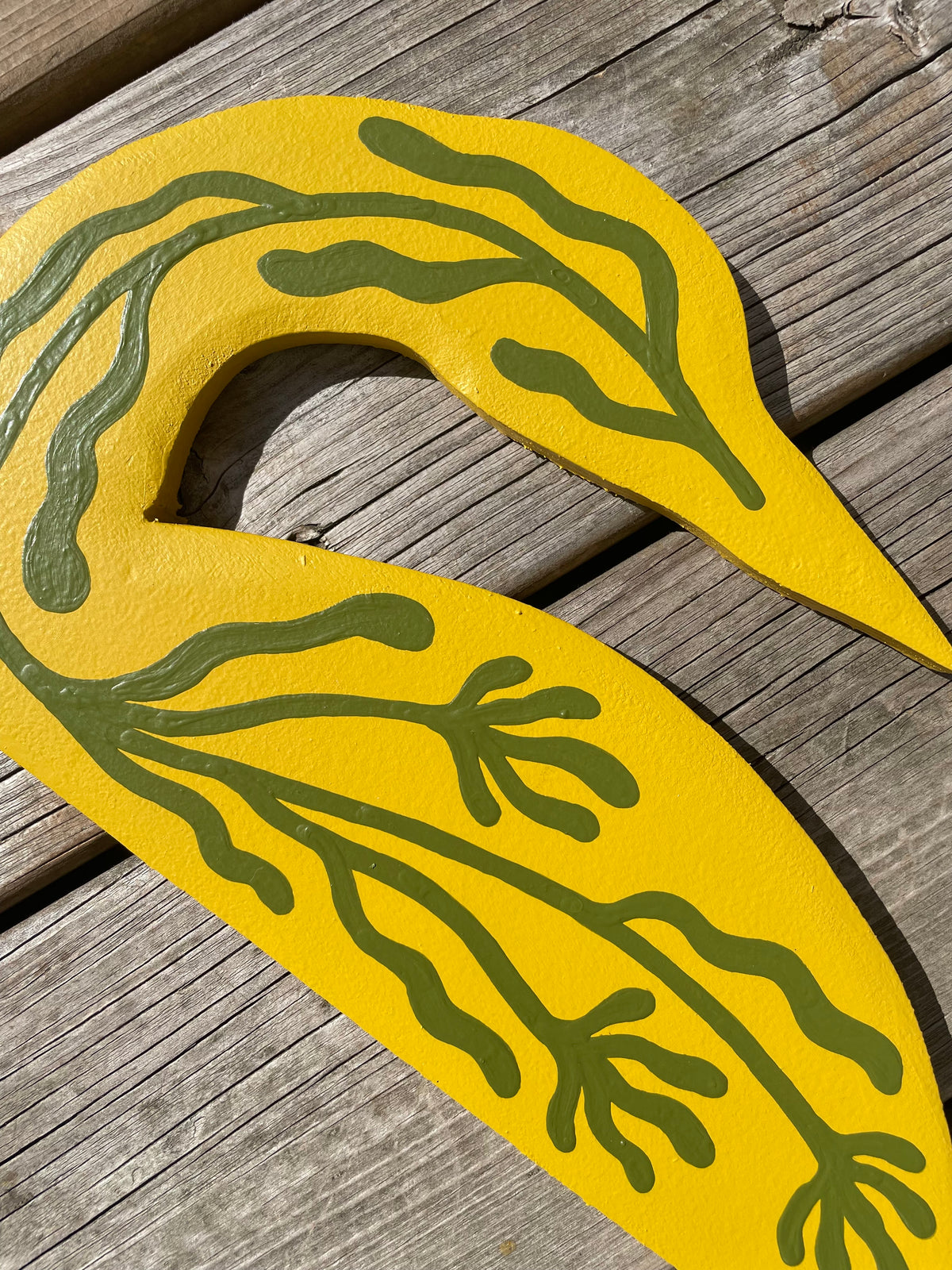 Pearson Lake Loon - the Bon Echo series
