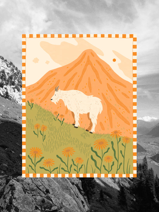 Local Explorer Print
